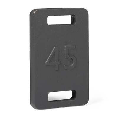 #ad Titan Fitness 45 LB Cast Iron Ruck Weight Plate Backpack Weight Training $54.97