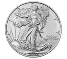 2023  1 oz American Silver Eagle Coin BU In Hard Plastic protective holder