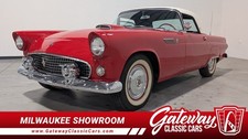 1955 Ford Thunderbird for Sale