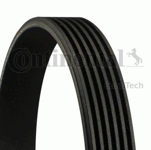 Fits CONTINENTAL CTAM 6PK1352 v-ribbed belt  ⭐UK Stock⭐
