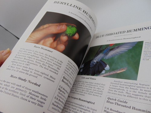 Stokes Kolibri Buch: Der komplette Leitfaden für... 1989 Donald & Lillian Stokes - Bild 9 von 10