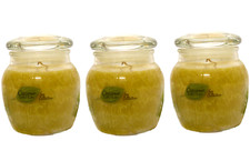 Scented Jar Candles Cinnamon Coffee Cake Fragrance (3) 9oz Jars Nature's Finest