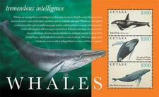 Guyana 2012 - Whales Marine Life - Sheet Of 3 Stamps - Scott #4139 - MNH