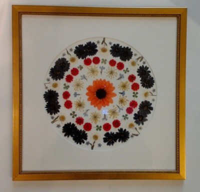 Pressed flower art daisies, 4 leaf clovers with white circle mat with gold frame