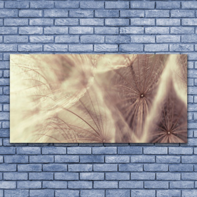 Impression sur verre Image tableaux 125x50 Floral Pavot