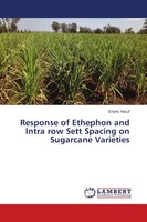Endris Yesuf | Response Of Ethephon And Intra Row Sett Spacing On Sugarcane...