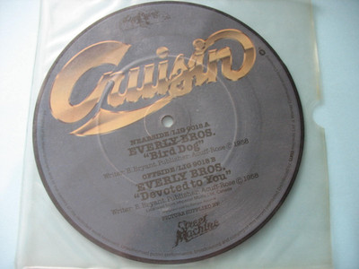 EVERLY BROTHERS-BIRD DOG/DEVOTED TO YOU. 1979 7'' SINGLE. PICTURE DISC. EX CON