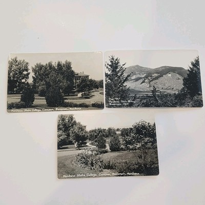 Vintage Real Photo RPPC Postcard  Bozeman Montana State College Campus Lot Of 3