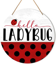 Hello Sign for Front Door, Spring Summer Welcome Hanging Sign Decorations Farmho