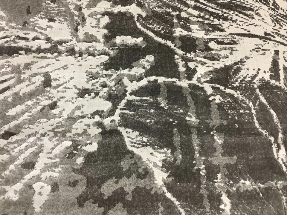 GREY / D GREY 8'-2" x 11'-0" Back Stain Rug, Reduced Price 1172678946 PRL7732A-8 - Изображение 2 из 4