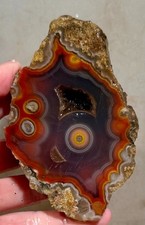 Mexican Coyamito Agate Faced Rough!