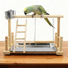 1 set Parrot Playstand Bird Play Stand Cockatiel Playground Wood Perch Gym Toys