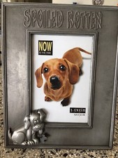 New Picture Frame for Your Favorite Pet Dog Pewter Size 3.5" x 5"