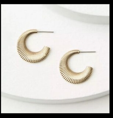 $29 NWT Loft Gold Tone Textured Semi Hoop Earring - JL93