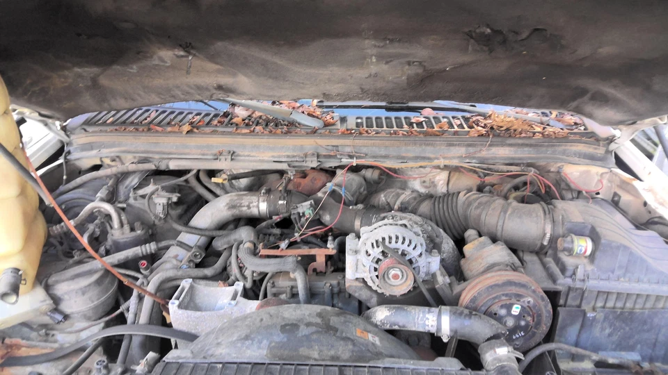 Fender FORD F550 SD PICKUP Izquierdo 99 00 01 02 03 04 05 06 07 Foto 3 de 4