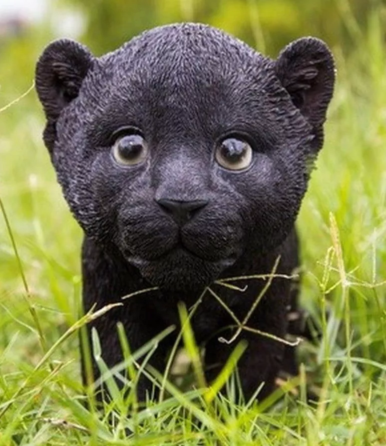Black Panther Cub Stunning Realistic Life Like Figurine Statue Home /  Garden | eBay