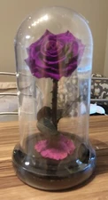 Preserved Purple Rose in Dome