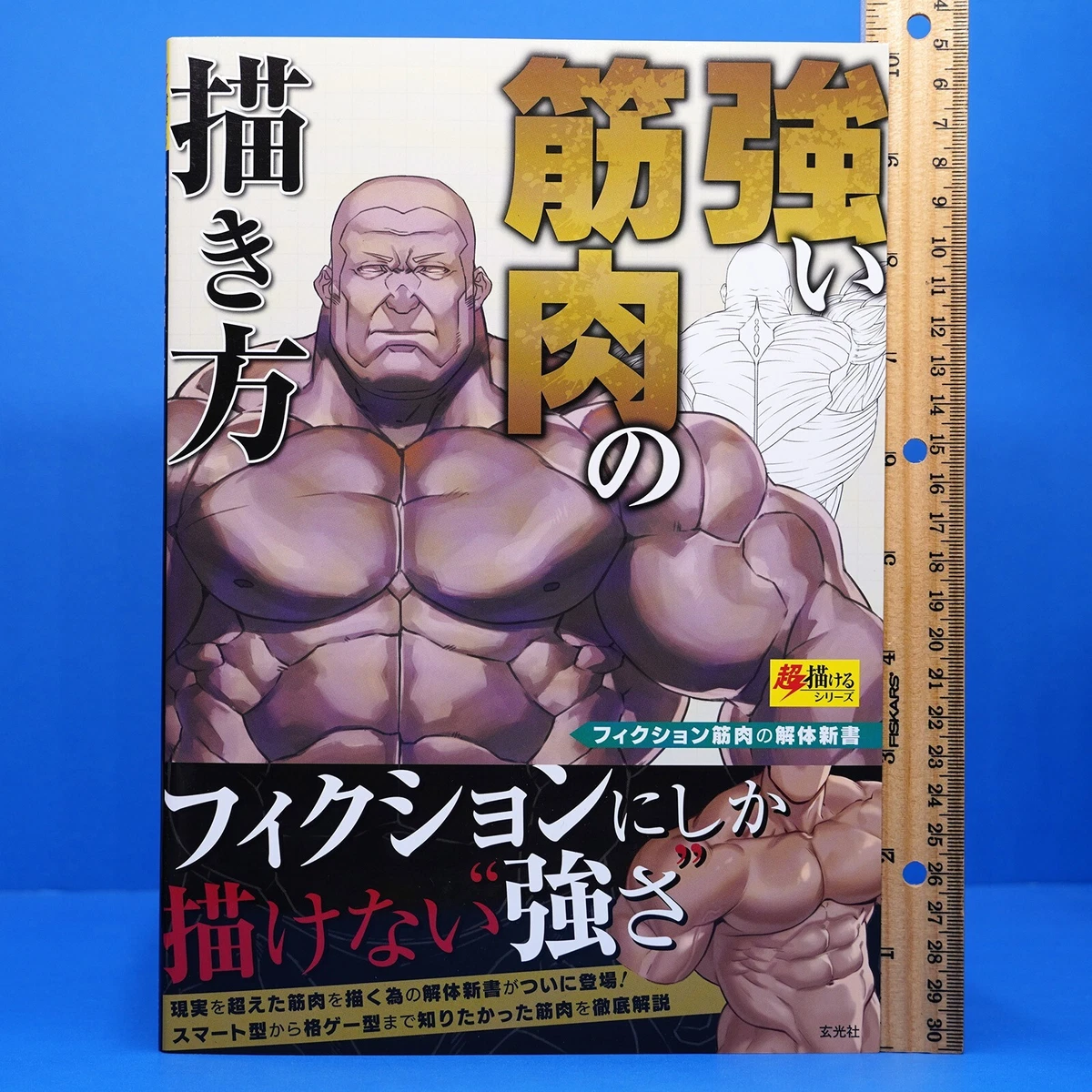 How to Draw Strong Muscles Art Book Body Building Illustration Guide Bara  JP  eBay