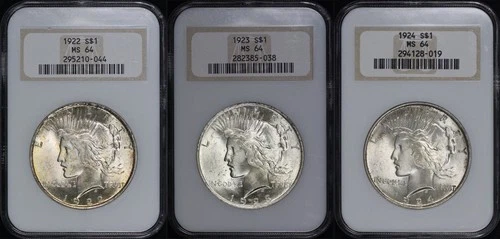 1922-1924 Peace Dollar Set NGC MS-64 Old Fatty Holder - Near-Perfect Holograms!