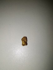 Rare Natural Gold Nugget California Cali .189 Grams 5595.33 per troy oz