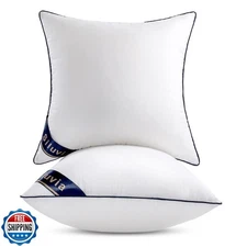 Siluvia 20"x20" Pillow Inserts Set of 2 Decorative Square Square Throw 20 Pil