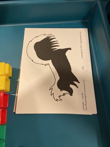 LinguiSystems Phonological Awareness Kit Primary By Carolyn Robertson/Wanda Salt - 第 9/10 張圖片