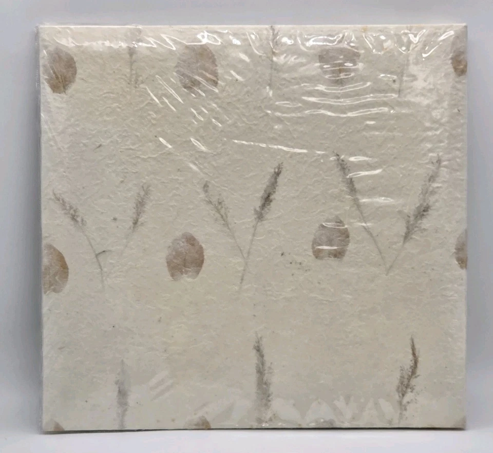 Libro de memoria Pioneer hojas texturizadas EZ carga libre de ácido 12x12 20 páginas de carga superior Foto 3 de 4