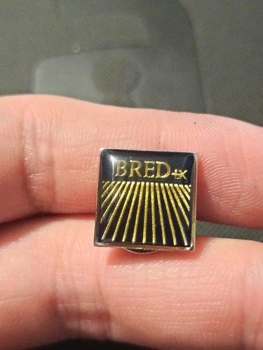 PINS PIN'S PIN BRED BANQUE BANK POPULAIRE FRANCE PUB RARE COLLECTOR ...