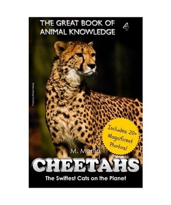 Cheetahs: The Fastest Cats on the Planet 
