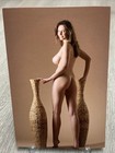 Bild 3 von 12