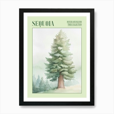 Mammutbaum atmosphärisches Aquarell gerahmtes Wandbild Poster Leinwanddruck Bild