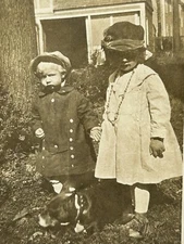 Vintage 1910 Bully Dog Photo Cute Boy Girl Dog  French Bulldog~Frenchie Snapshot