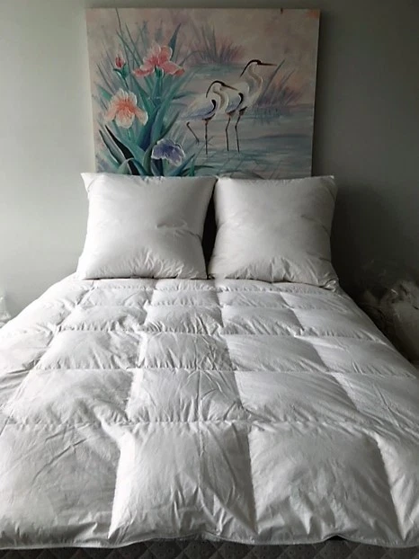 Puradown 80% Goose Down Euro Continental Pillow 80 x80cm Australian Made