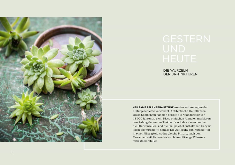 Thumbnail - Gabriela Nedoma Vergessene Heiltinkturen