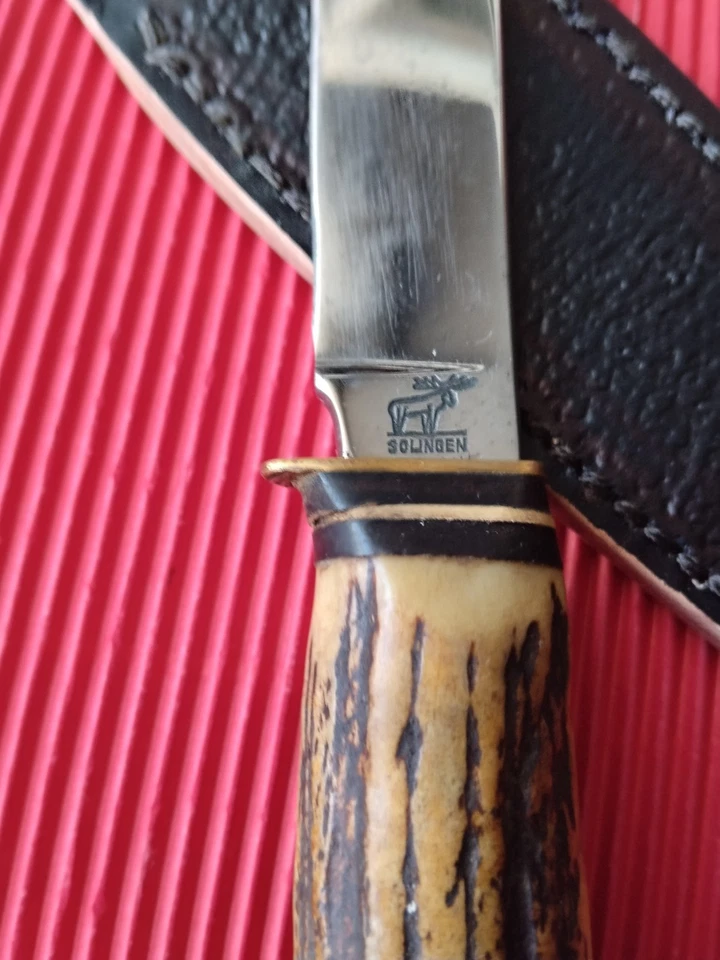 Rar Solingen Robert Schaaf Jagdmesser Hirschhorn Elch Sammler Fahrten Messer - Bild 2 von 4