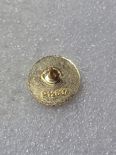 US COAST GUARD RETIREMENT ENAMEL LAPEL PIN P12637 GOLD TONED CLUTCH BACK - Picture 3 of 4