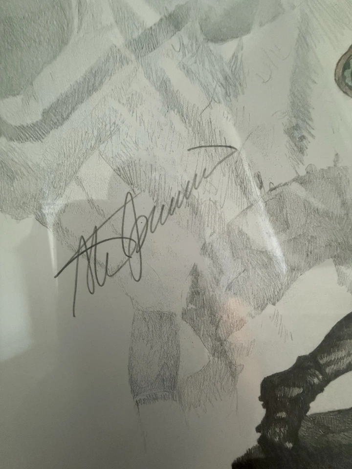 Florida Gators 1996 Steve Spurrier Danny Wuerffel Heisman Trophy Signed Framed - Image 3 of 4