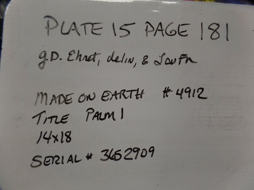 Made On Earth Item 4923 Palm 1 Canvas & Wood W Serial # 14" X 18" - Picture 9 of 9