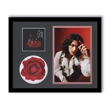 Conan Gray "Superache" AUTOGRAPH Signed Photo Custom Framed 11x14 Display ACOA