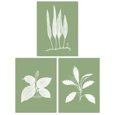 Pack of 3 Sage Green Tree Foliage Botanical Unframed Art Prints Set A4