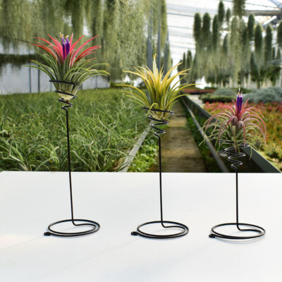3Pcs Metal Air Pineapple Stand Base Plant Flower Rack Holder Home Balcony De-lk