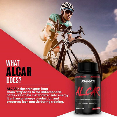 Bigmuscles Nutrition Alcar L-Carnitine Natural Fat Burner (60tab) - Picture 3 of 4