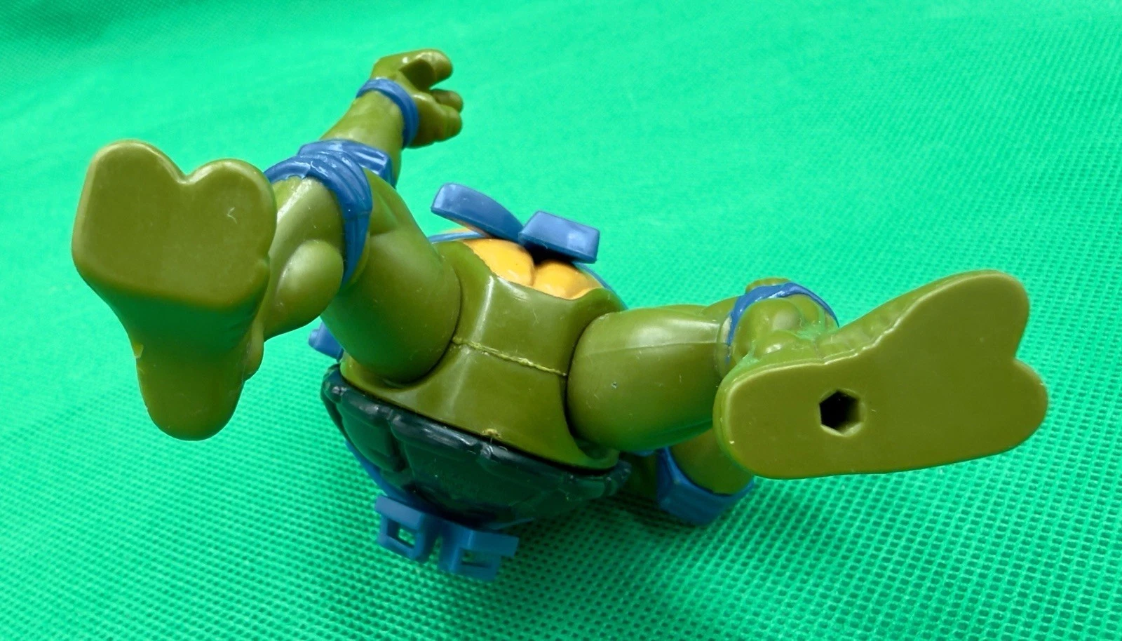 Storage Shell Leonardo photo 2