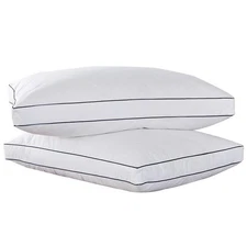 Peace Nest Feather & Down Blend Gusset Pillow (Set of 2)