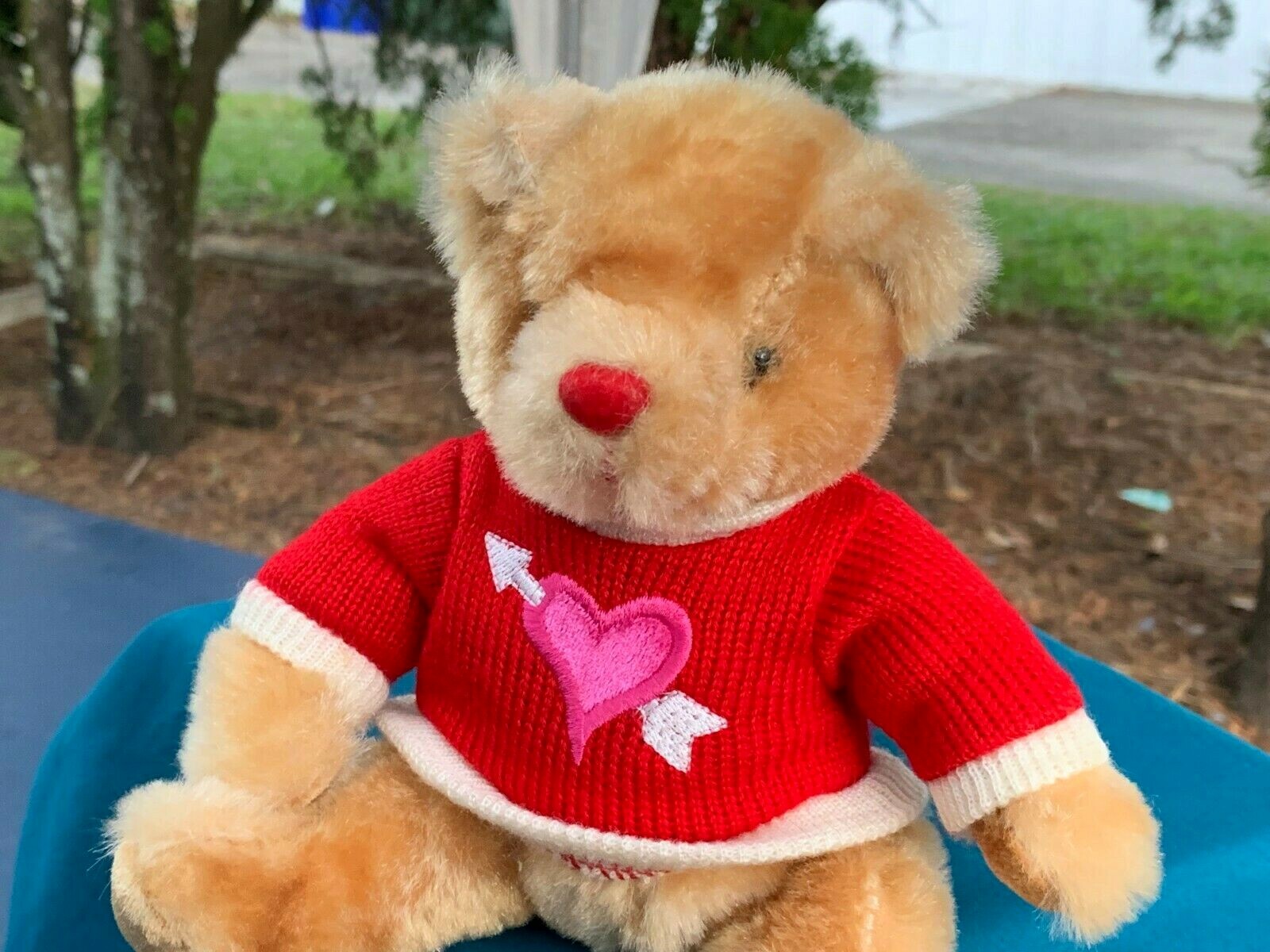 beautiful teddy bear