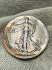 1937 Walking Liberty Silver Half Dollar Lustrous *UNCIRCULATED* Toned High Grade