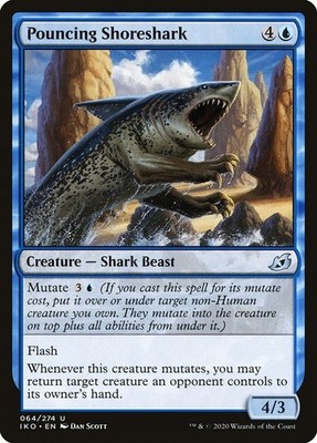 Pouncing Shoreshark 64 IKO Ikoria MTG Blue Beast Uncommon Scott Mutate Flash NM