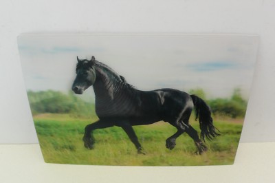 ANSICHTSKARTE 3 D PFERD PFERDE HORSE ANIMAL CARD TIER KARTE AK  ZOO CARTE 4 !!