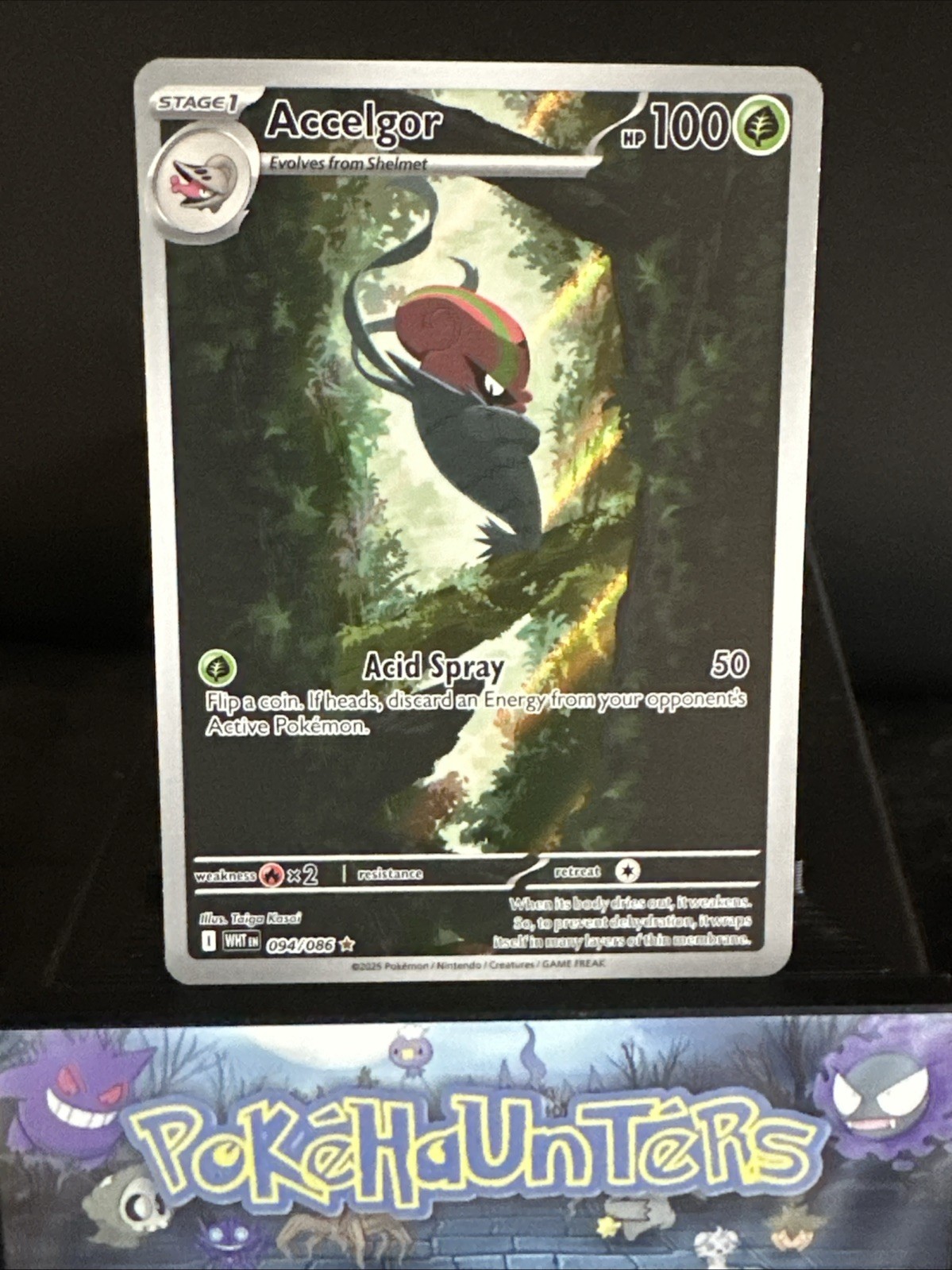 Pokemon Card Accelgor 094/086 White Flare Full Art Illustration Rare NM