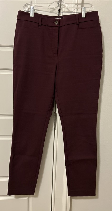 Loft Skinny Pants 10